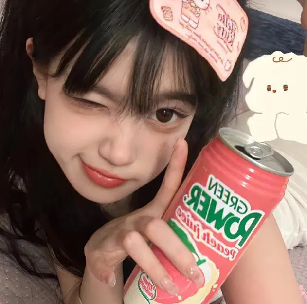 拿破仑美人关