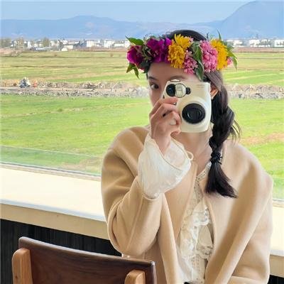 万紫千红花弄蝶
